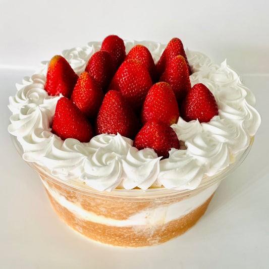 Traditional Tres Leches Cake
